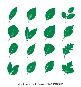 Set of Green Leafs. Vector Illustration.