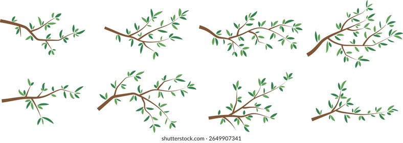 Set of Green Leafy Tree Branches Flat Vector Illustration for Botanical Design and Nature Decoration Elements