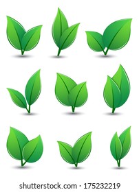 Set of green leaves