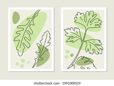 Set of green leaves. Arugula and celery plants posters. Creative line art background in minimal trendy style.  Vector