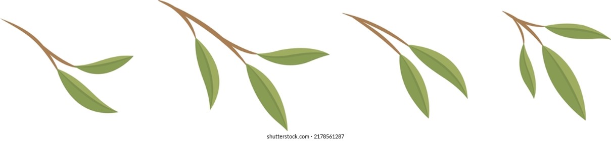Set of green leaves and branches or bamboo leaves, vector illustration in cartoon style