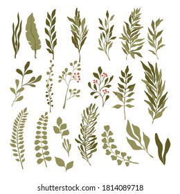 Conjunto de hojas verdes y ramas aisladas sobre fondo blanco. Paisaje de verano verde y fresco para la corona, borde, diseño de papel pintado. Elementos para la boda, el saludo, la decoración de cumpleaños.