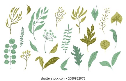 Set of green leaves and branches with leaves. Modern style flat organic illustrations. For decorations, patterns, compositions, etc. Vector isolated on white background.