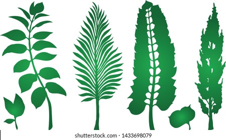Set of green leaves. Branches are on white isolated background. Vector illustration.