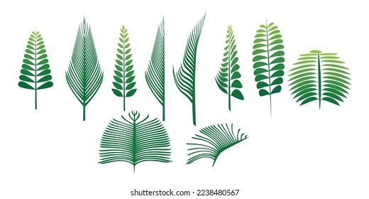 Colección de hojas verdes. Ilustración vectorial