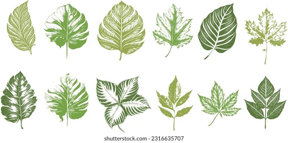 Set green leaves Collection vector for design background
