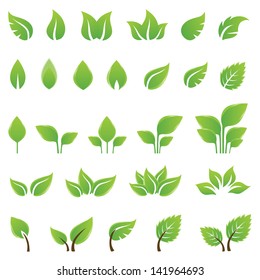 Set of green leaves design elements. This image is a vector illustration.