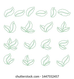 Set of green leaves design elements. Green sprout green leaves symbol vector icon set.