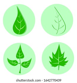 Set of green leaves design elements. This image is a vector illustration.Leaves icon