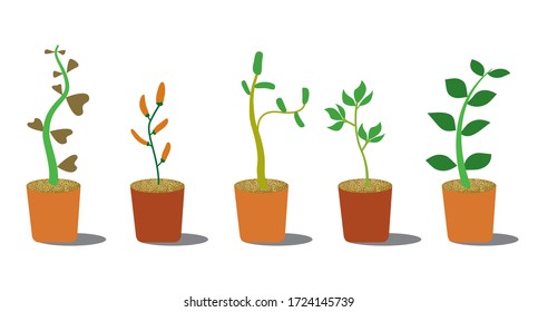 Set of green leaves design elements. Green sprout green leaves symbol vector icon set.