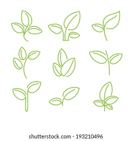 Set of green leaves design elements. Vector illustration.