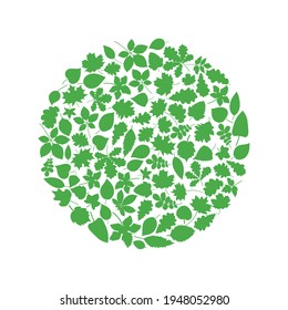 Conjunto de elementos de diseño de hojas verdes. Esta imagen es una ilustración vectorial.