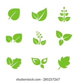 Set of green leaves design elements. This image is a vector illustration.