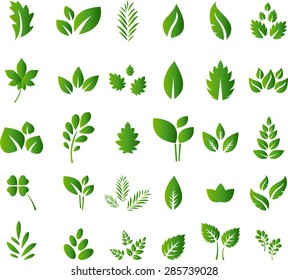 Set of green leaves design elements for you design