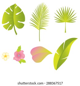 Set of green leaves design elements