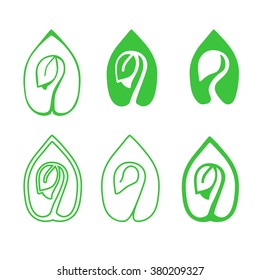 Set of green leaves design elements. Green sprout green leaves symbol vector icon set.