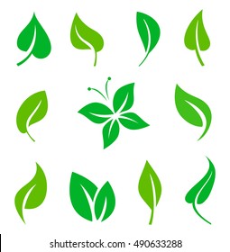 Set of green leaves design elements. Vector illustration isolated on white background.