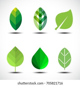 Set of green leaves design elements. Vector illustration.