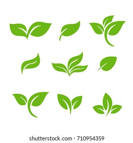 Set of green leaves design elements