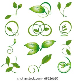 A set of green leaves to the design. Vector illustration