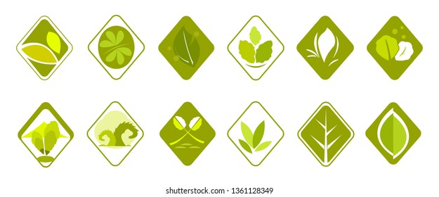 Set green leaves diamond shape label or green leaf icon or green leaf logo collection.