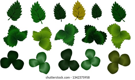 Set of green leaves of different plants. For sites about nature, gardens, personal plots. Elements for landscape design. White background. Vector. EPS 10
