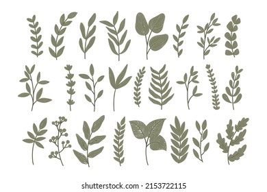 Set of Green Leaves Element for Decoration