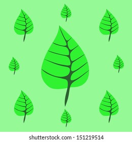 Set of green leaves. Element for design