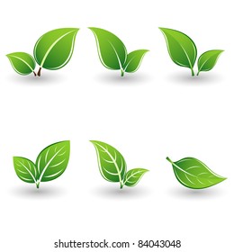 Set of green leaves. Element for design.