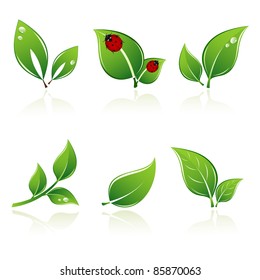 Set of green leaves. Element for design.