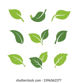 set of green leaves element vector icon. green leaf vector symbol. svg