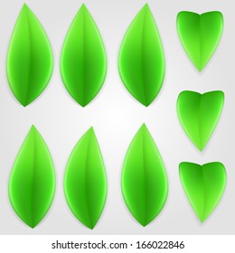 Set of green leaves. Elements of nature. 