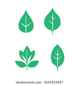 A set of green leaves and leaves free download