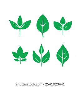 A set of green leaves and leaves free download