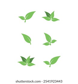 A set of green leaves and leaves free download