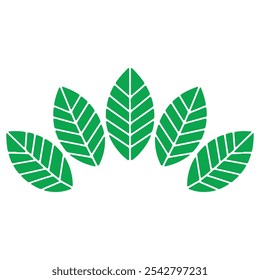 A set of green leaves and leaves free download