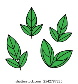 A set of green leaves and leaves free download