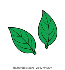 A set of green leaves and leaves free download