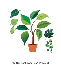 A set of green leaves and leaves free download