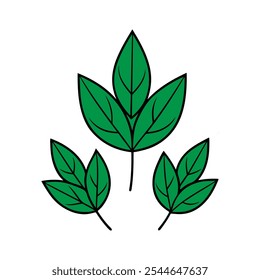 A set of green leaves and leaves free download