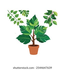 A set of green leaves and leaves free download