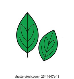 A set of green leaves and leaves free download