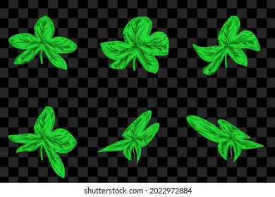 Set of green leaves hand drawn style illustration leaf graphic resources collection element