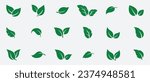 Set green leaves icon vector  isolated on white background. Various shapes of green leaves of trees and plants.Eps 10