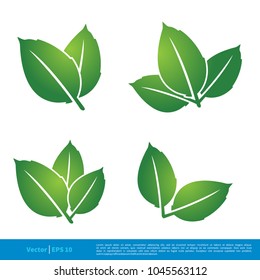 Set Green Leaves Icon Vector Logo Template