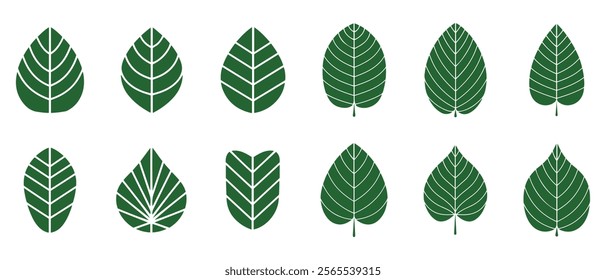Set green leaves icon vector isolated on white background. Various shapes of green leaves of trees and plants.Eps 10