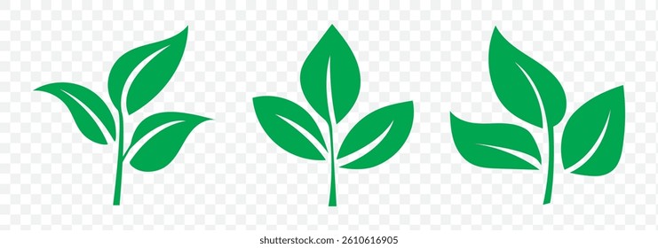 Set green leaves icon vector isolated on white background. Various shapes of green leaves of trees and plants. Eps 10