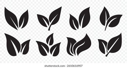 Set green leaves icon vector isolated on white background. Various shapes of green leaves of trees and plants. Eps 10