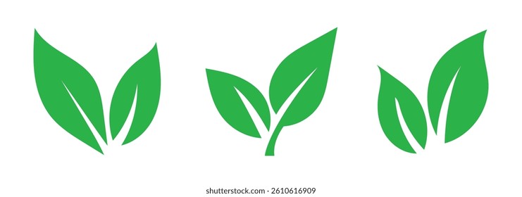 Set green leaves icon vector isolated on white background. Various shapes of green leaves of trees and plants. Eps 10