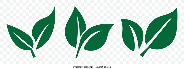 Set green leaves icon vector isolated on white background. Various shapes of green leaves of trees and plants. Eps 10